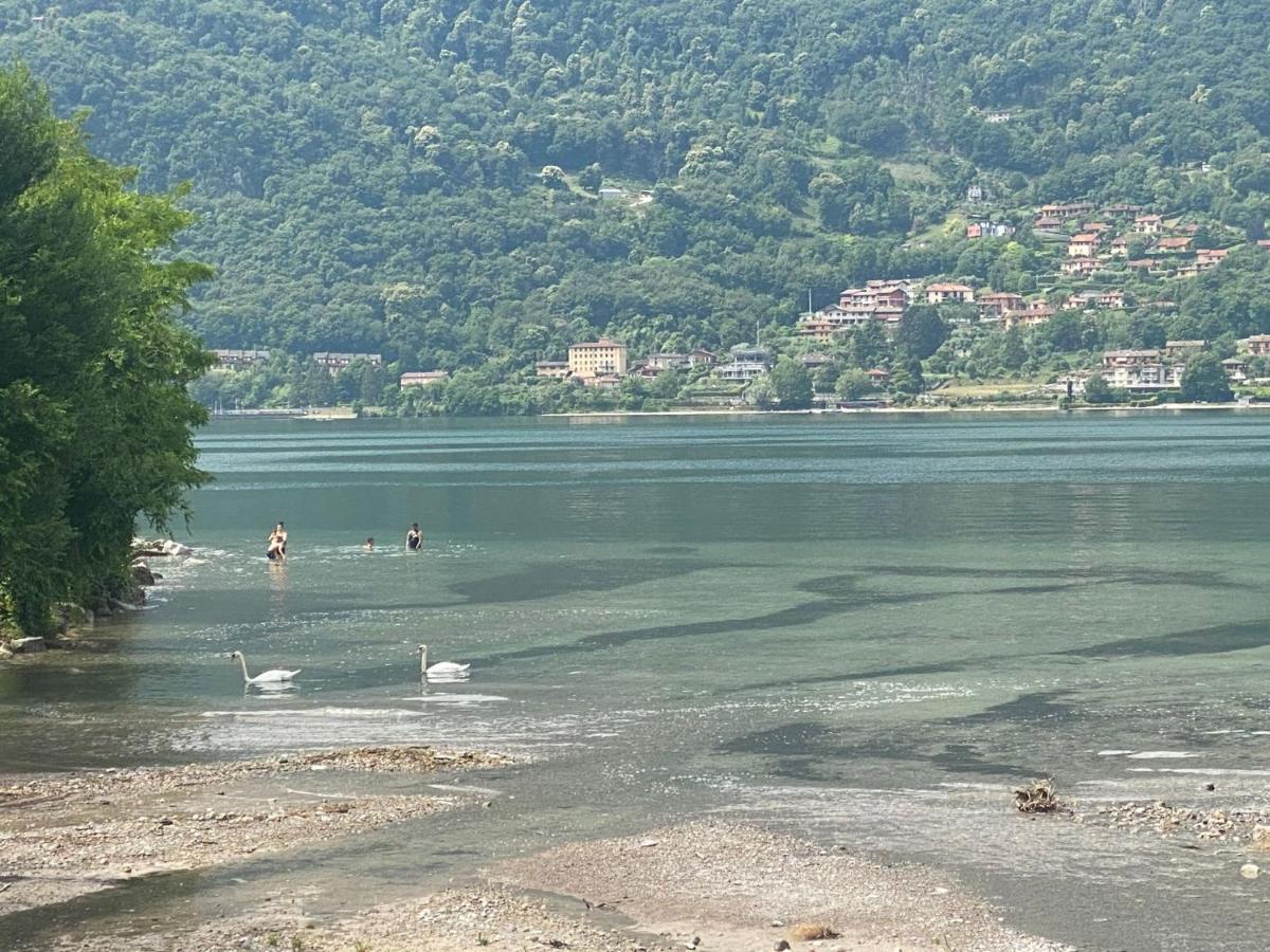Villa The Swan - Composed By 2 Apartments Mandello del Lario Exteriör bild
